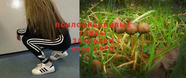 мдма Богородицк