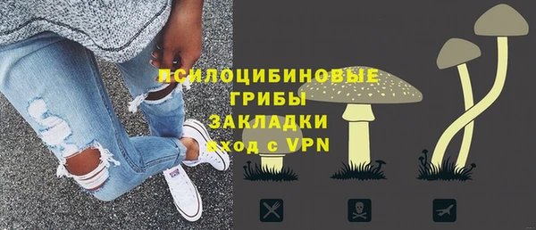соль ск Богданович