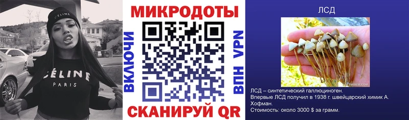 Псилоцибиновые грибы Psilocybe  Кириллов 